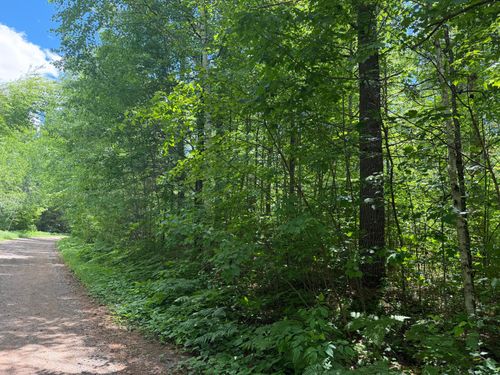 Lot 30 Maplestone Rd, Minocqua, WI, 54548 | Card Image