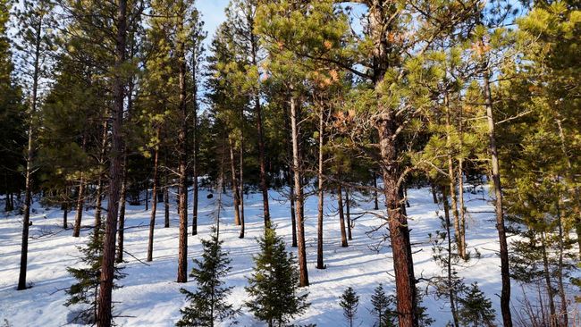 24003 Sidehill Ln, Home with 0 bedrooms, 0 bathrooms and null parking in Bonner MT | Image 7
