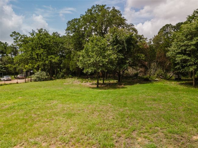 View of green lawn | Image 5