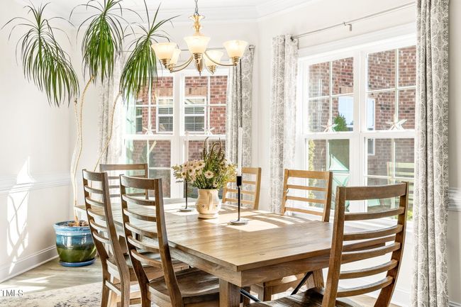 20-web-or-mls-DSC05730 | Image 16