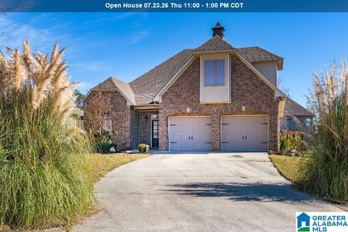 163 Willow View Ln, WILSONVILLE, AL, 35186-5401 | Card Image