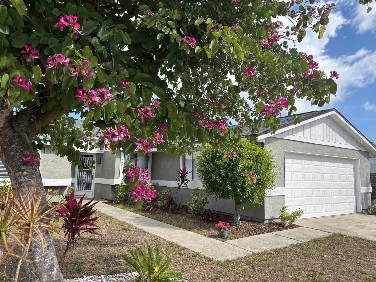 34th Ave, Bradenton, FL 34209