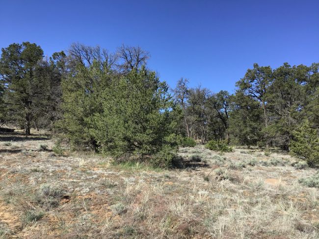 Lot 7 Red Fox Road, Home with 0 bedrooms, 0 bathrooms and null parking in Ramah NM | Image 37