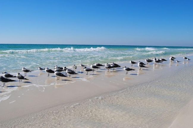 Easy access to Ft. Walton/Deston Beaches | Image 27