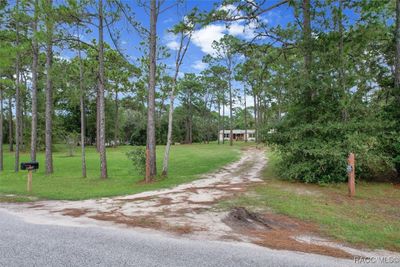 4575 S Evergreen Avenue, House other with 3 bedrooms, 2 bathrooms and null parking in Homosassa FL | Image 2