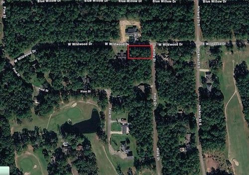 00000 E Wildwood Dr, Village Mills, TX, 77663 | Card Image