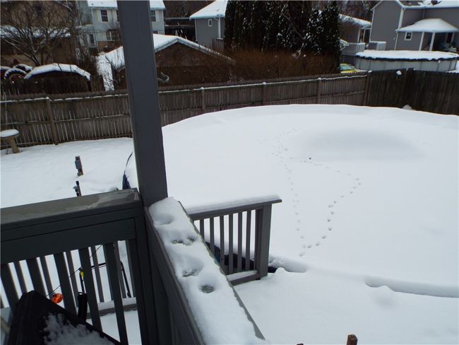 202 2 Nd Ave, House other with 4 bedrooms, 2 bathrooms and 2 parking in Elco PA | Image 11
