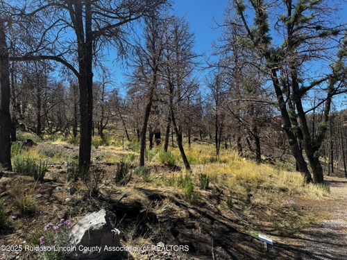 140 Telluride Trl, Ruidoso, NM, 88345-7122 | Card Image