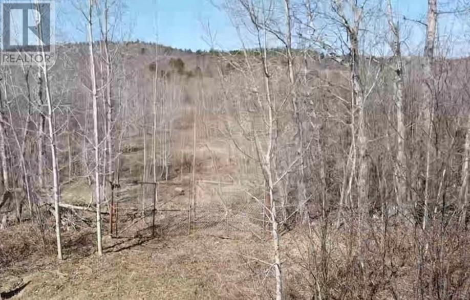 Land in Sudbury 3