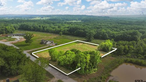 17261 Stella Maris St, Winona, TX, 75792 | Card Image