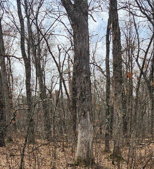 1553 Kingswood Trl, Nekoosa, WI, 54457 | Card Image