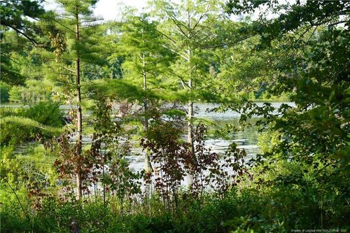 8 Lakeview Dr, Red Springs, NC, 28377 | Card Image