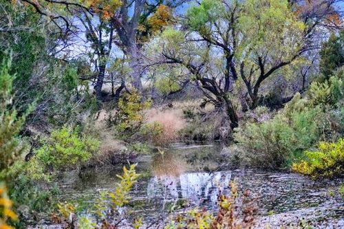 16033 Door Key Rd, Christoval, TX, 76935 | Card Image