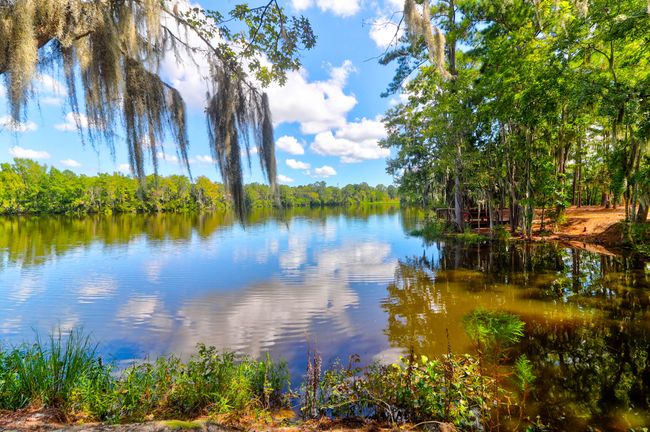 1888 Nola -Tidalcreekphoto- (67) | Image 66