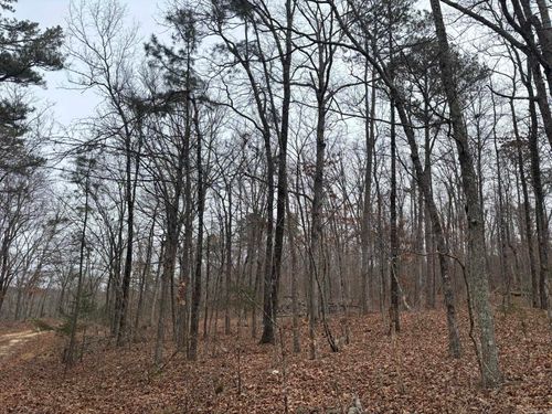 000 Edge Dr, Clinton, AR, 72031 | Card Image