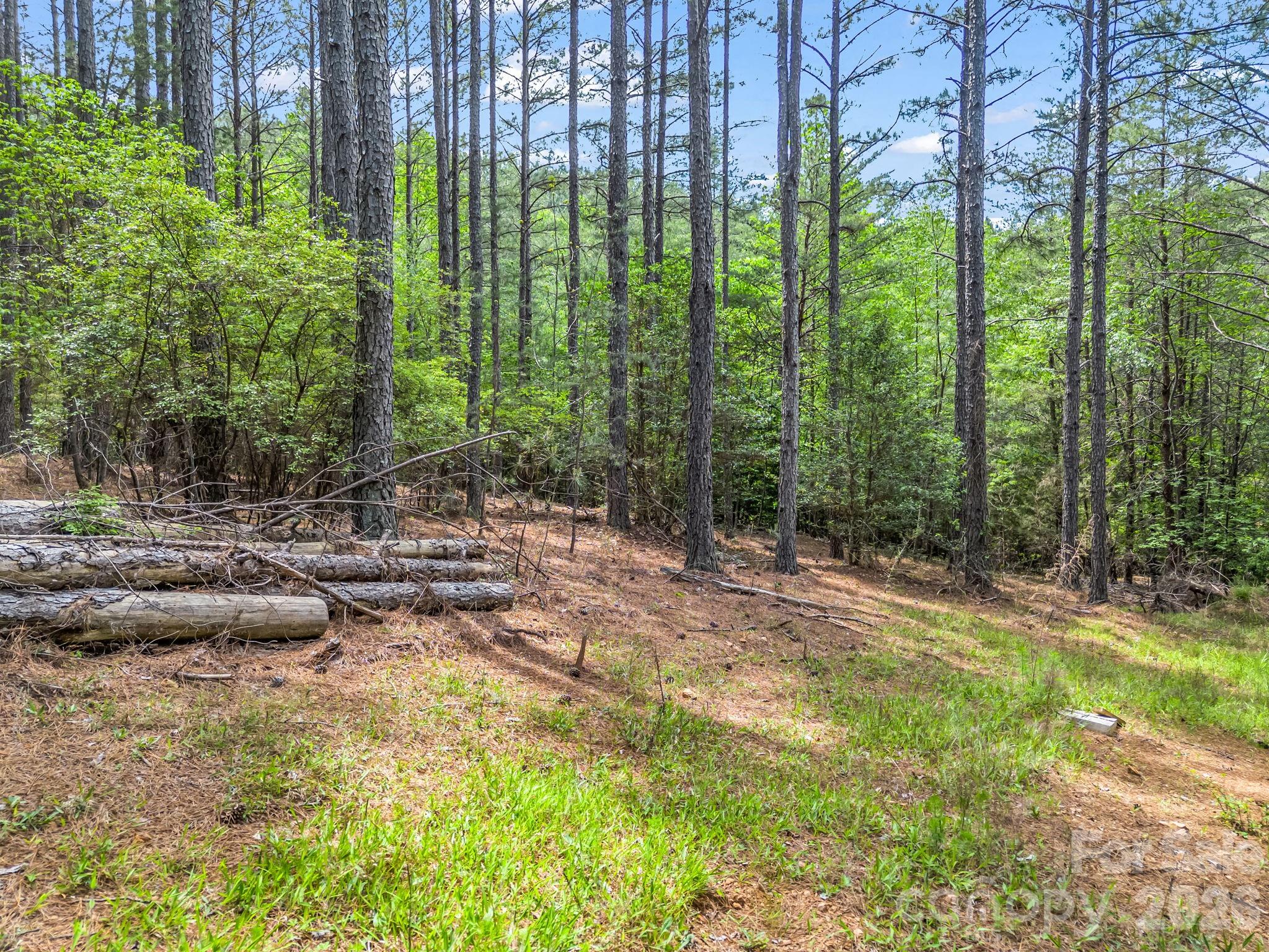 Land in Mooresboro 4
