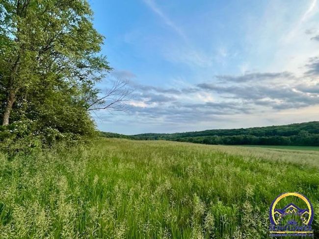 10.01 Acres M/L N 800 Rd, Home with 0 bedrooms, 0 bathrooms and null parking in Baldwin City KS | Image 9