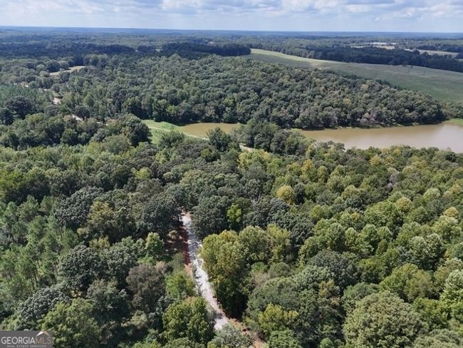 TRACT-12 - 0 Sanford Dr, Home with 0 bedrooms, 0 bathrooms and null parking in Nicholson GA | Image 7