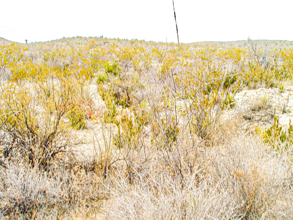 Land in Terlingua 4