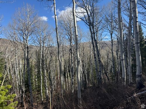 663-663 Red Fir Way, Kamas, UT, 84036 | Card Image