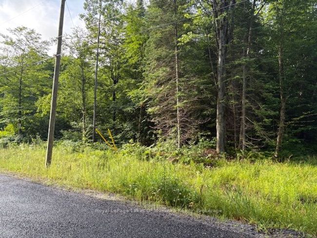 60 Summer Leigh Trail, Home with 0 bedrooms, 0 bathrooms and null parking in Utterson ON | Image 4