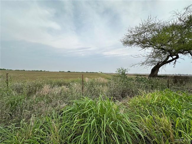 View of local wilderness with a rural view | Image 7