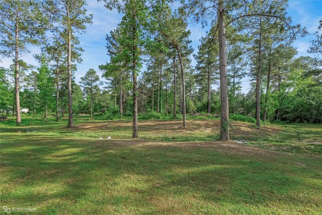 View of yard | Image 5