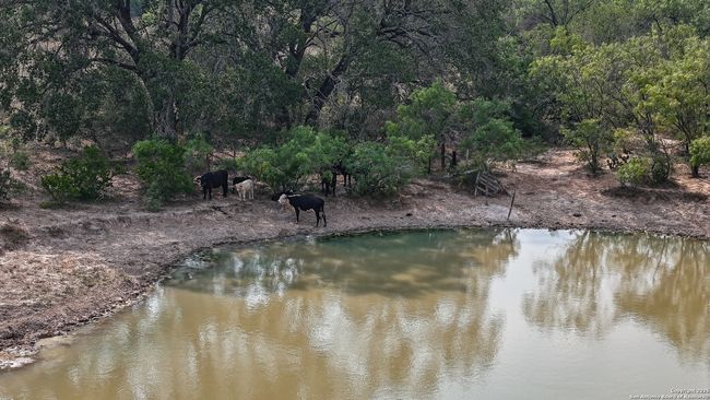 000 No Name, Home with 0 bedrooms, 0 bathrooms and null parking in Elmendorf TX | Image 10