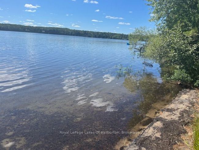 1293 Green Lake Rd, House other with 3 bedrooms, 2 bathrooms and 4 parking in Haliburton ON | Image 9