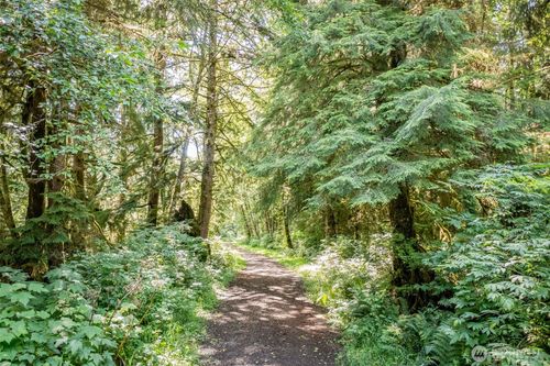 1 Swamp Rd, Sekiu, WA, 98381 | Card Image