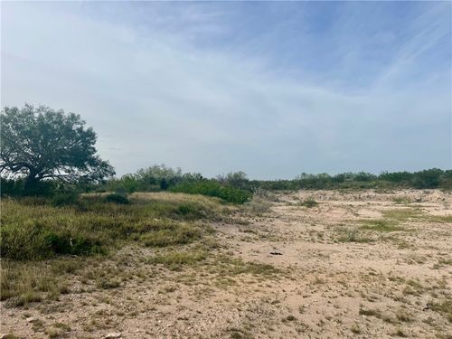 000 County Road 335, San Diego, TX, 78384 | Card Image