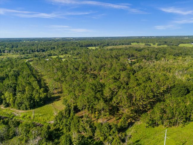 9535 Number Two Rd, Home with 0 bedrooms, 0 bathrooms and null parking in Howey In The Hills FL | Image 19