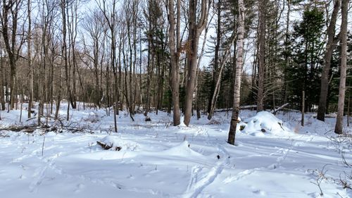 20 Skyscraper Hill Road, Brooks, ME, 04921 | Card Image