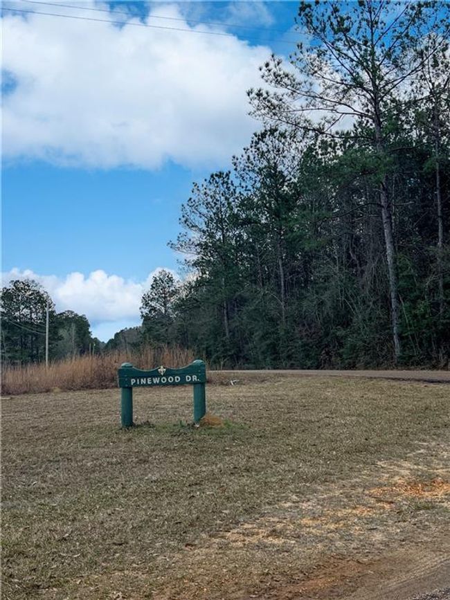 Lot 2 Pinewood Rd, Home with 0 bedrooms, 0 bathrooms and null parking in Bogalusa LA | Image 4