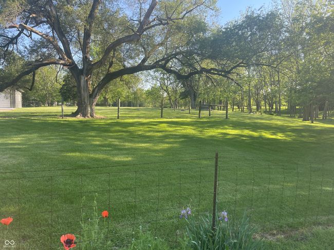 Beautiful Old tree opens up to this 4 acre property | Image 31