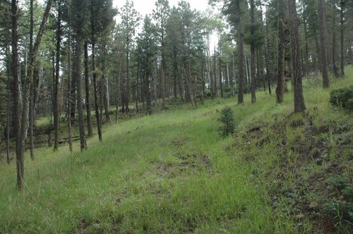 1530 Colfax Ter, Angel Fire, NM, 87710 | Card Image