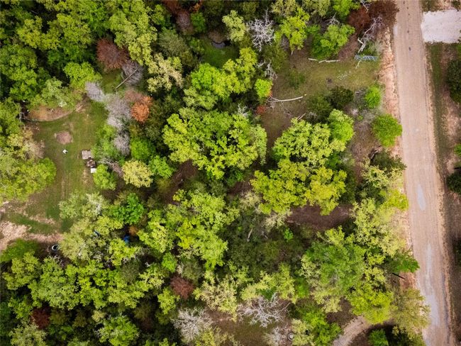 Drone / aerial view | Image 8