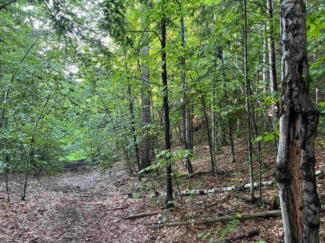 Map 6, Lot 38 Chadwick Hill Road, Home with 0 bedrooms, 0 bathrooms and null parking in Webster NH | Image 11