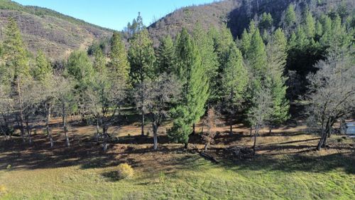 240 Oak Ranch Rd, Lewiston, CA, 96052 | Card Image