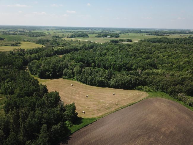DJI_0029.JPG | Image 7