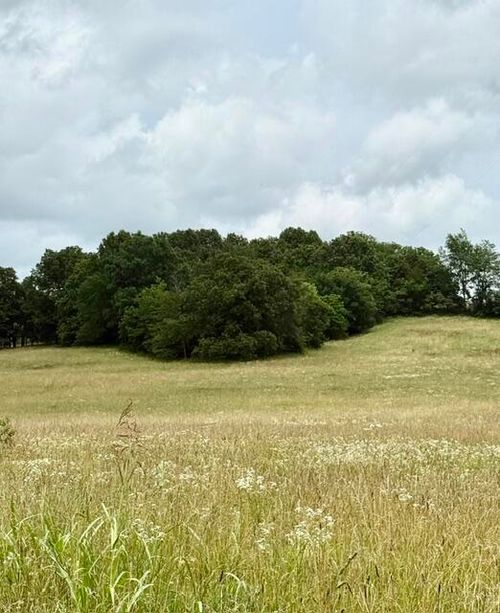 10.2 Acres Stewerd Drive, Fordland, MO, 65652 | Card Image