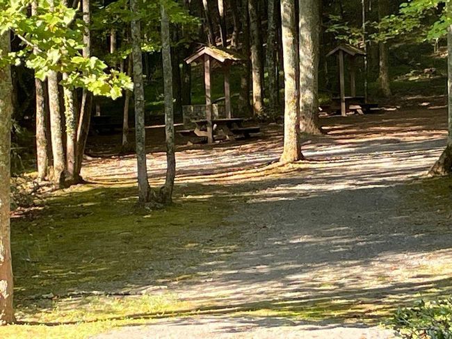 76 Tally Cove Rd, Home with 0 bedrooms, 0 bathrooms and null parking in Jasper GA | Image 19