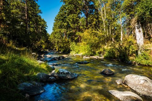39 Fish Hatchery Rd, Story, WY, 82842-5015 | Card Image
