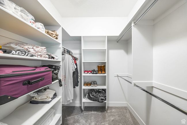 Spacious closet featuring carpet | Image 9