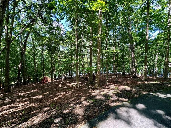 2320 Rainbow Ct, Home with 0 bedrooms, 0 bathrooms and null parking in Jasper GA | Image 4