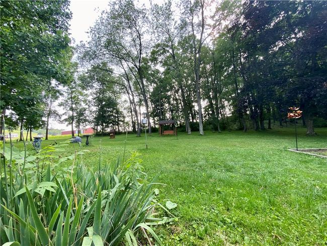 Back Yard View | Image 21