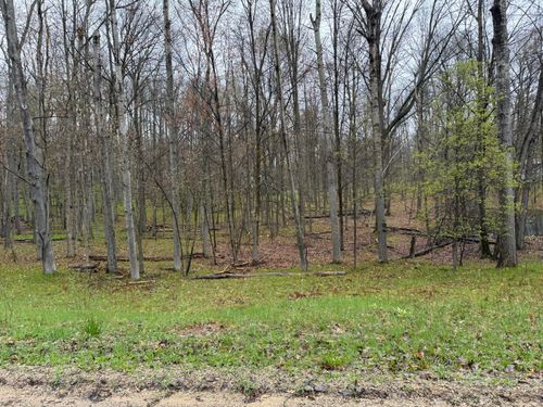 8196 Pine Tree Trail, Stanwood, MI, 49346 | Card Image
