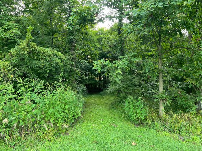 0 Norton Road, Home with 0 bedrooms, 0 bathrooms and null parking in Radnor OH | Image 20