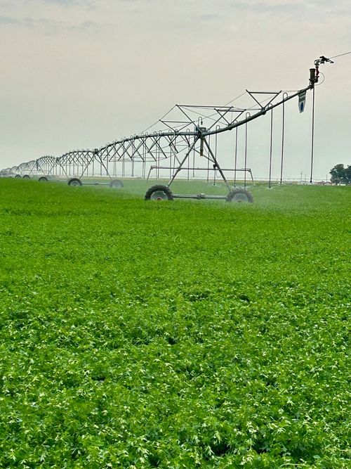 NHN 1st Rd S, Fort Shaw, MT, 59443 | Card Image