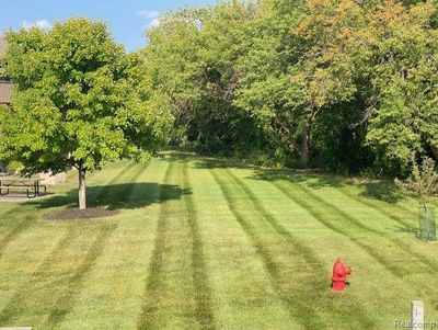 Beautiful yard to look at from the balcony | Image 2